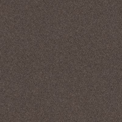 Shaw Floors Caress By Shaw Cozy Harbor I Burma Brown 00752_CC78B