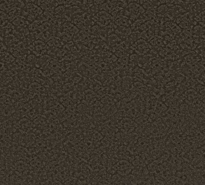 Shaw Floors Free Spirit Burma Brown 00752_CC70B