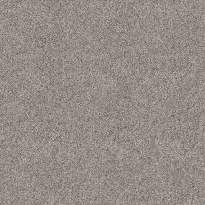 Shaw Floors Pet Perfect Plus GRAND OUTLOOK Shadow 00505_5E802