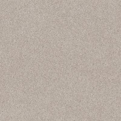 Shaw Floors Pet Perfect Plus Calm Serenity II Washed Linen 00103_5E272