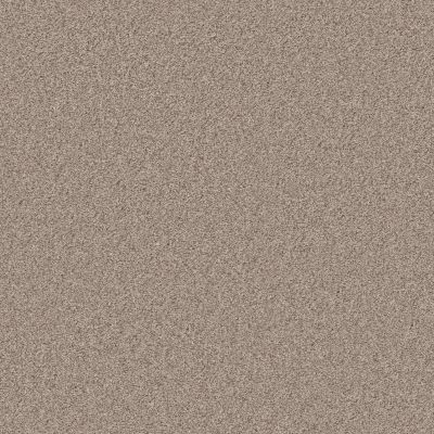 Shaw Floors Pet Perfect Plus Calm Serenity II Beige Bisque 00110_5E272