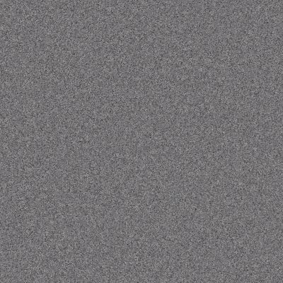 Shaw Floors Pet Perfect Plus Calm Serenity II Stormy Breeze 00501_5E272