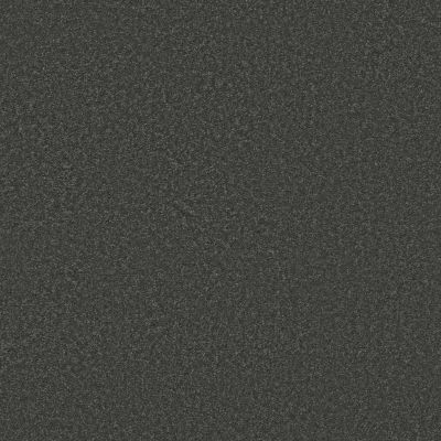 Shaw Floors SIMPLY THE BEST Yet Charcoal 00534_5E745