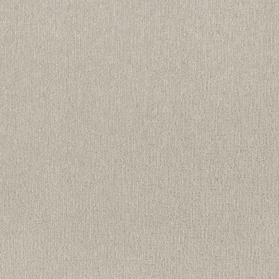 Shaw Floors Simply The Best CLEVER ART Almond Silk 00101_5E811