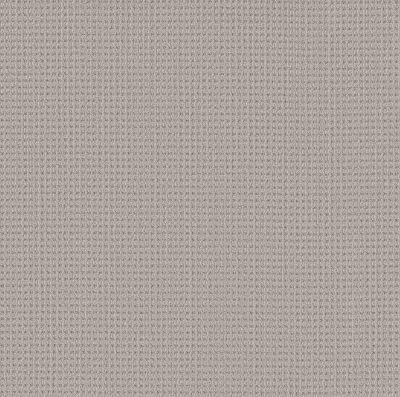Shaw Floors Finely Detailed Twilight 00101_5E842
