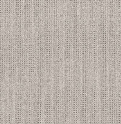 Shaw Floors Finely Detailed Sand Dunes 00102_5E842