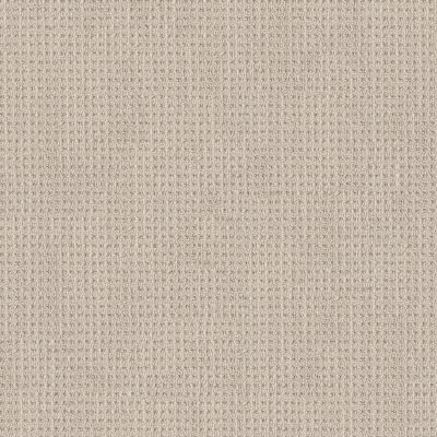 Shaw Floors Finely Detailed Wool Blanket 00105_5E842
