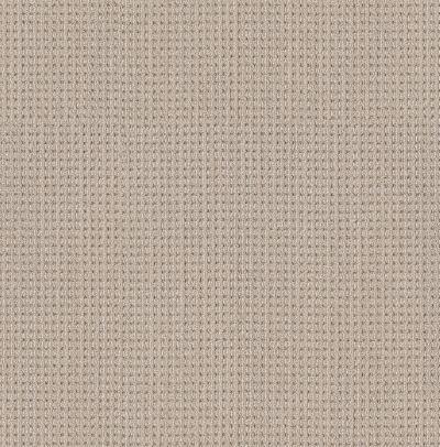Shaw Floors Finely Detailed Sun Bleached 00110_5E842