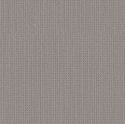 Shaw Floors Finely Detailed Essential Gray 00504_5E842