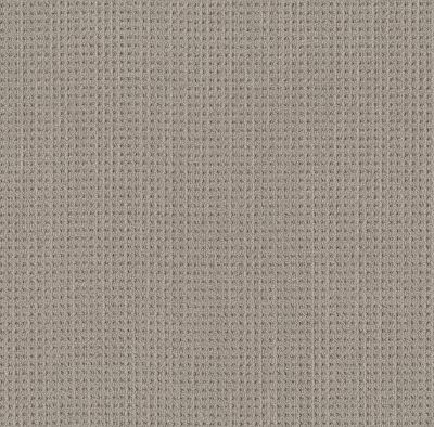 Shaw Floors Finely Detailed Warm Taupe 00505_5E842