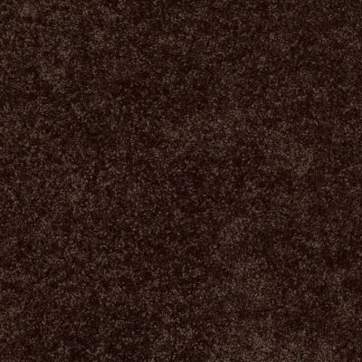 Shaw Floors All Star Weekend I 12′ Coffee Bean 00705_E0143