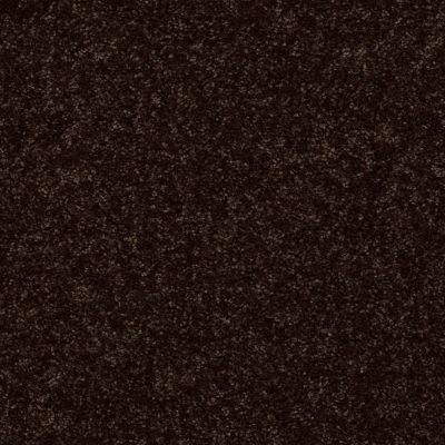 Shaw Floors ALL STAR WEEKEND III 12′ Coffee Bean 00705_E0145