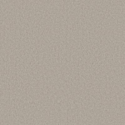 Shaw Builder Flooring Home Foundations Gold ARCADIAN TROPICS Chic Taupe 00124_HFN84