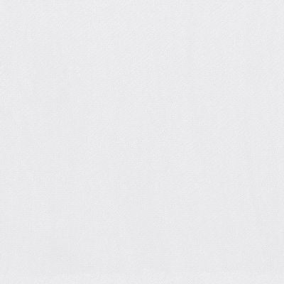 Shaw Floors FOUNDATIONS Infallible Instinct White Hot 00170_E9721