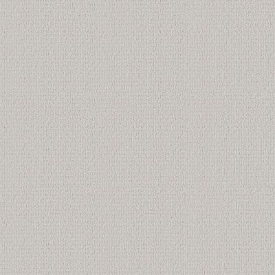 Shaw Floors SFA Warm Memories Coming Home 151P_EA825