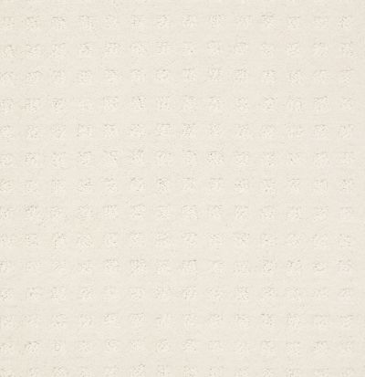 Shaw Floors Foundations Alluring Disposition Crisp Linen 00171_E9724
