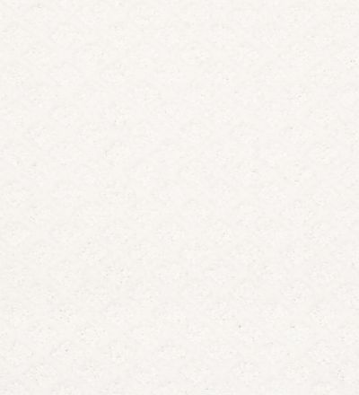 Shaw Floors FOUNDATIONS Entwined With You White Hot 00170_E9808