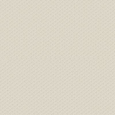 Shaw Floors Foundations Entwined With You Crisp Linen 00171_E9808
