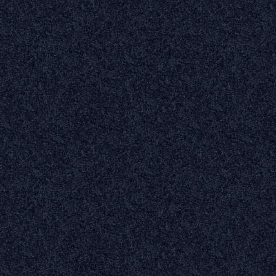 Shaw Floors Full Court 12′ Evening Sky 00403_52Y46