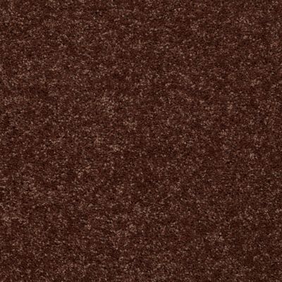 Shaw Floors Full Court 12′ Flower Pot 00610_52Y46