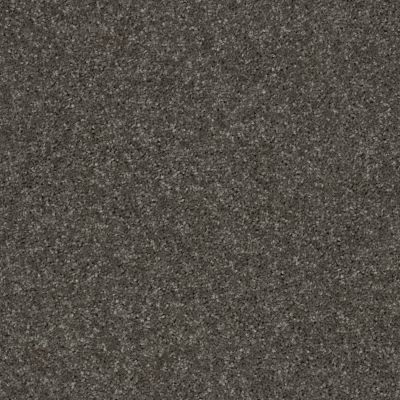 Shaw Floors Full Court 12′ Barn Beam 00740_52Y46