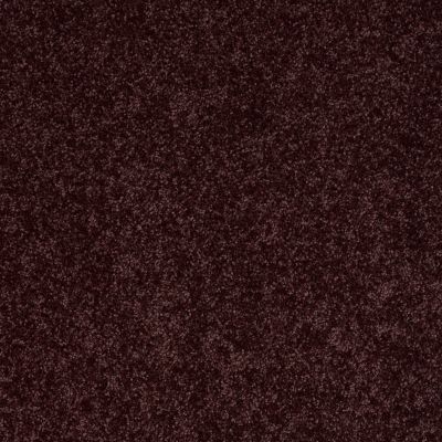 Shaw Floors Full Court 12′ Royal Purple 00902_52Y46
