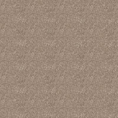 Shaw Floors Simply The Best ELEVATED III Soft Sand 00106_5E863