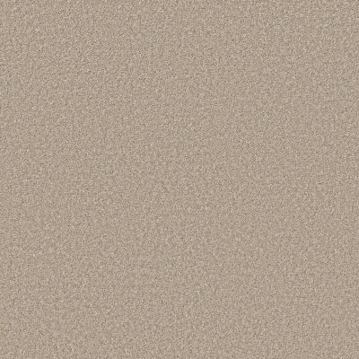 Shaw Floors Simply The Best Elevated III Warm Glow 00110_5E863