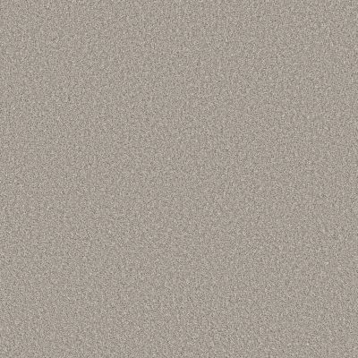 Shaw Floors Simply The Best Elevated III Silver Mist 00510_5E863