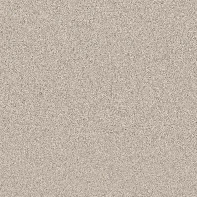 Shaw Floors SIMPLY THE BEST Elevated II Nuance 00111_5E862