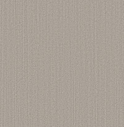 Shaw Floors Pet Perfect Plus Natural Embrace Twilight 00101_5E877