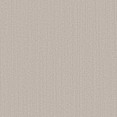 Shaw Floors Pet Perfect Plus Natural Embrace Sand Dunes 00102_5E877