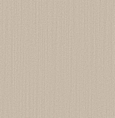 Shaw Floors Pet Perfect Plus Natural Embrace Wool Blanket 00105_5E877