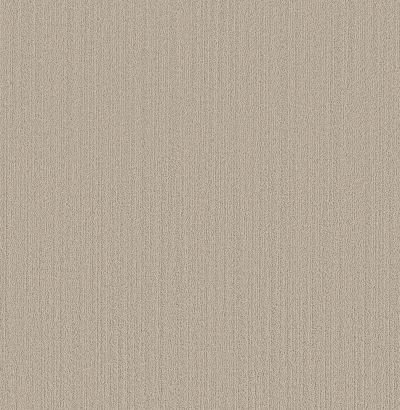 Shaw Floors Pet Perfect Plus Natural Embrace Blissful Beige 00109_5E877