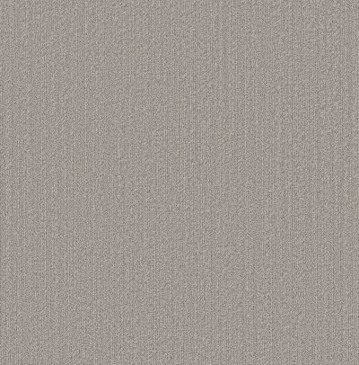 Shaw Floors Pet Perfect Plus Natural Embrace Platinum 00502_5E877