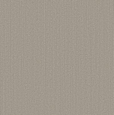 Shaw Floors Pet Perfect Plus Natural Embrace Warm Taupe 00505_5E877