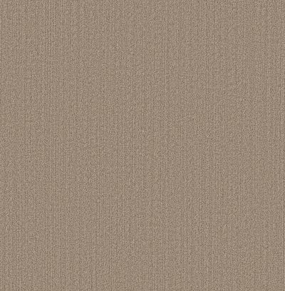Shaw Floors Pet Perfect Plus Natural Embrace Rattan 00704_5E877