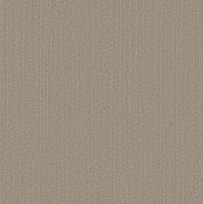 Shaw Floors Pet Perfect Plus Natural Embrace Natural Sisal 00705_5E877