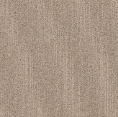 Shaw Floors Pet Perfect Plus Natural Embrace Basketry 00706_5E877