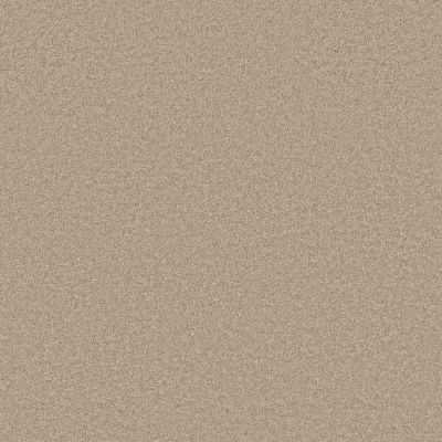 Shaw Floors Pet Perfect Plus Velvet Touch I Straw Hat 00103_5E871