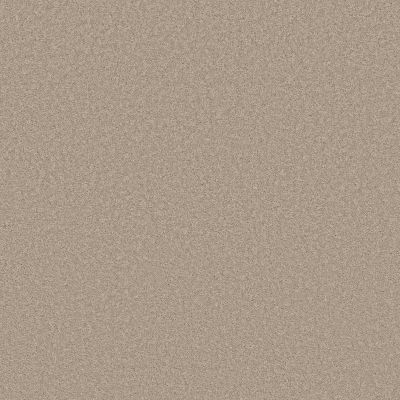 Shaw Floors Pet Perfect Plus Velvet Touch I Chic Greige 00104_5E871