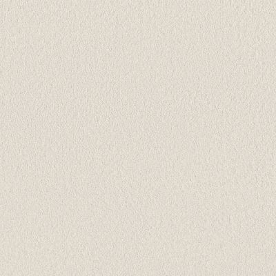 Shaw Floors Pet Perfect Plus Velvet Touch I Snowfall 00150_5E871
