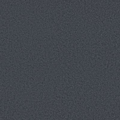 Shaw Floors Pet Perfect Plus Velvet Touch I Refined 00402_5E871
