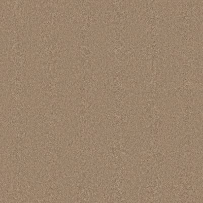 Shaw Floors Pet Perfect Plus Velvet Touch I Canoe 00700_5E871