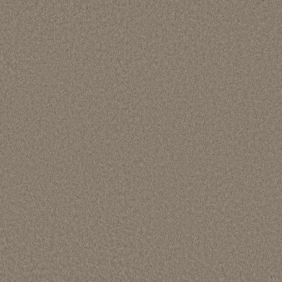 Shaw Floors Pet Perfect Plus Velvet Touch I Plaza Taupe 00702_5E871