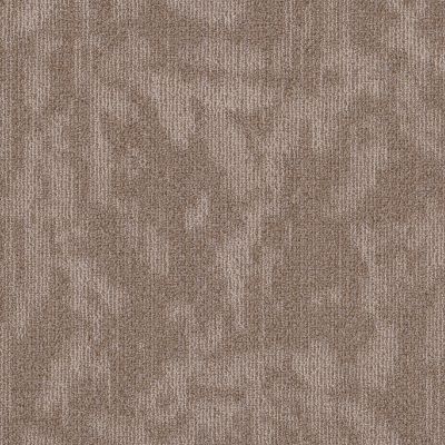 Philadelphia Commercial New Take Modern Heirloom Flaxen 00202_55011