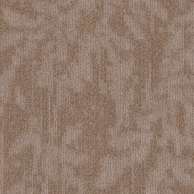 Philadelphia Commercial New Take Modern Heirloom Windsor Tan 00208_55011