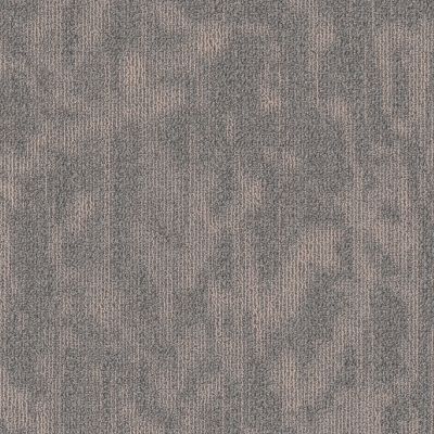 Philadelphia Commercial New Take Modern Heirloom Willow 00402_55011