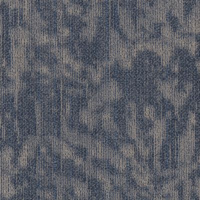 Philadelphia Commercial New Take Modern Heirloom Larkspur 00406_55011
