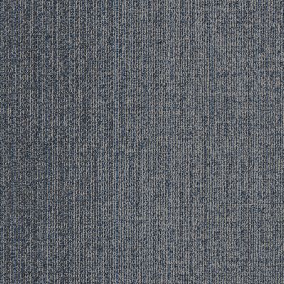 Philadelphia Commercial New Take Muted Rhythms Larkspur 00406_55013